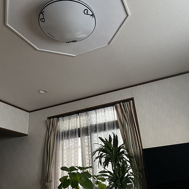 Inoriさんの実例写真