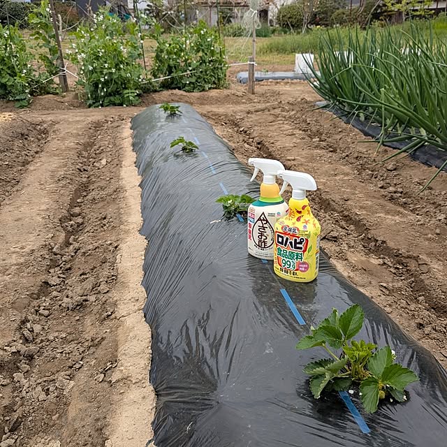 tabasaさんの実例写真