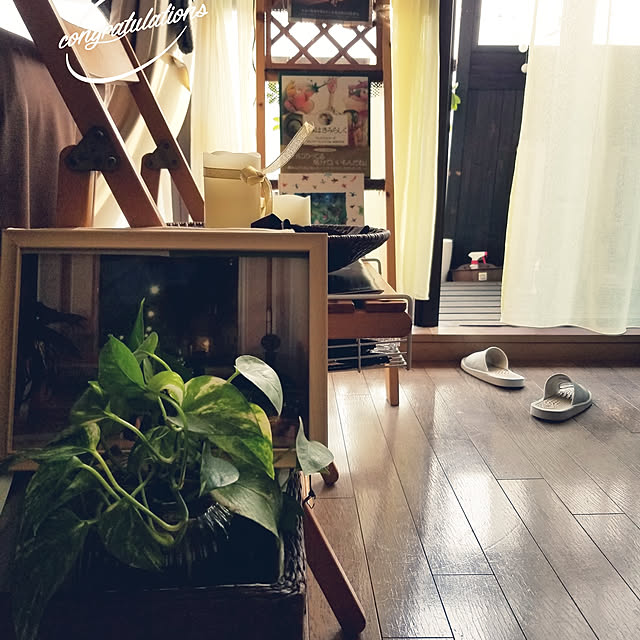 実例写真