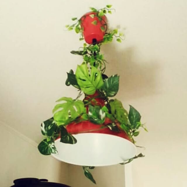chitabaさんの実例写真