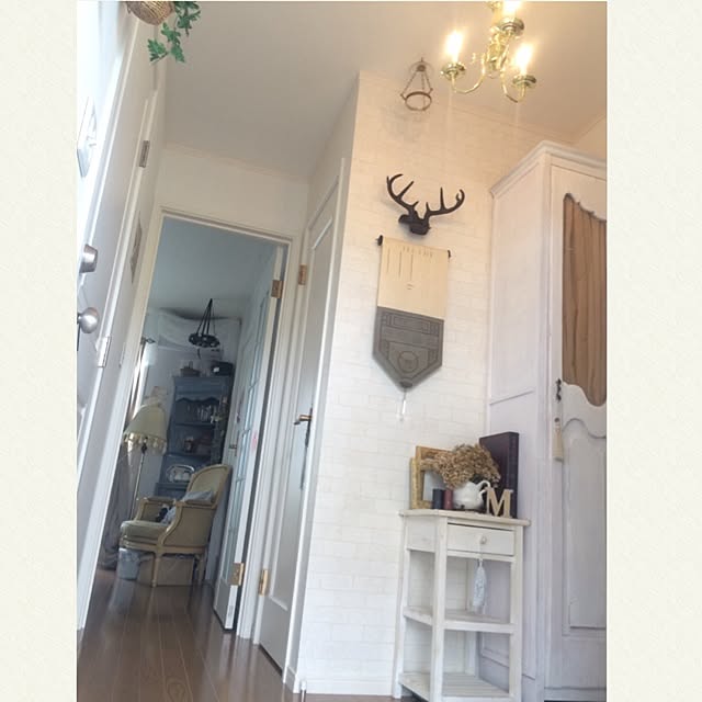DailyRoomclip