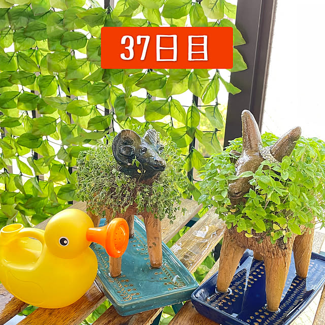 aureaさんの実例写真