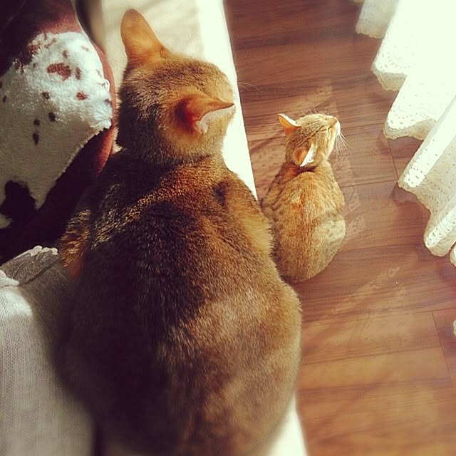 1633さんの実例写真