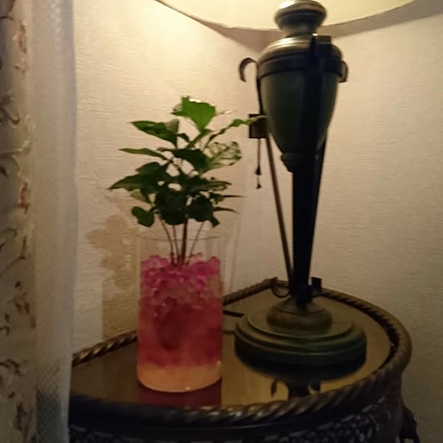 DoDさんの実例写真