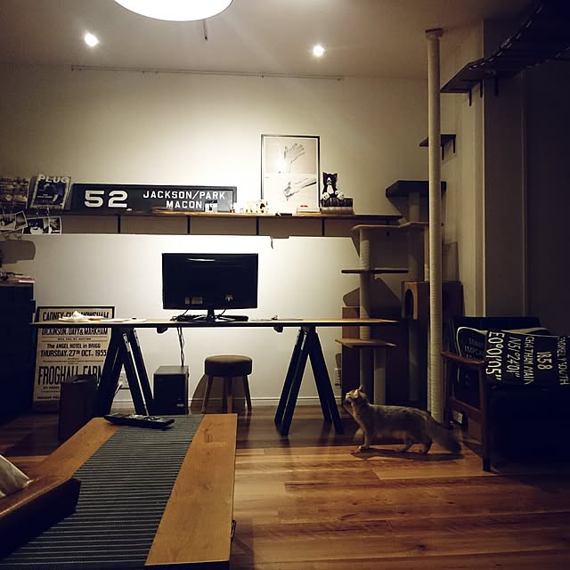机/ねこと暮らす。/DIY/カリモク60/キャットウォーク...などのインテリア実例 - 2016-09-06 19:25:59