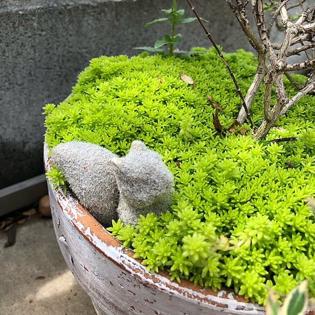 nakabaさんの実例写真