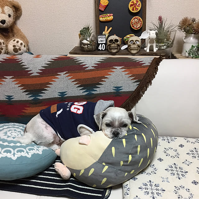 emiさんの実例写真