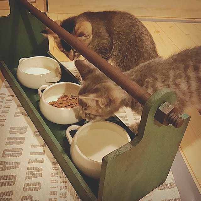 ma-ya-sunsunさんの実例写真