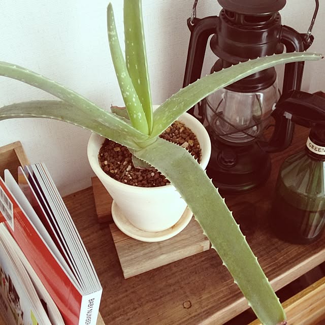 kohalifeさんの実例写真