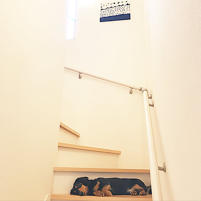 nyaaさんの実例写真
