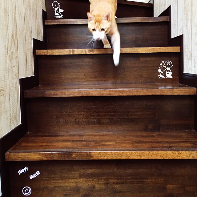 kazuyonさんの実例写真