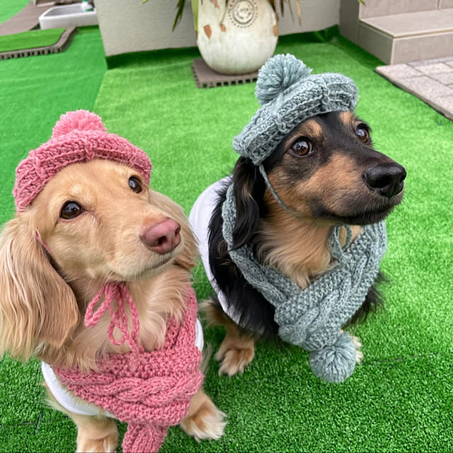mikomugisaさんの実例写真