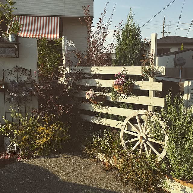 cavaさんの実例写真