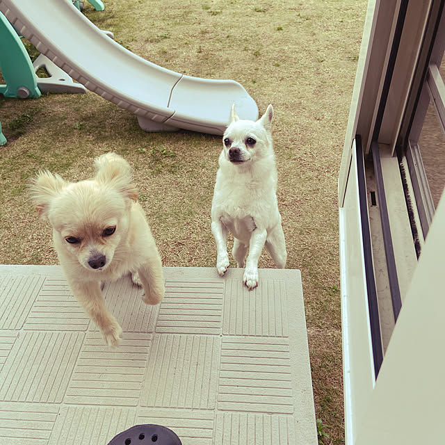 実例写真
