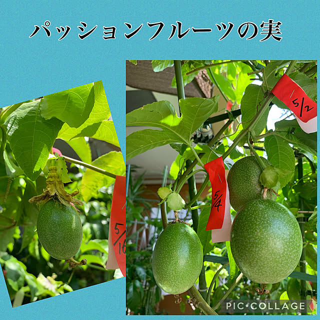 Aqettyさんの部屋