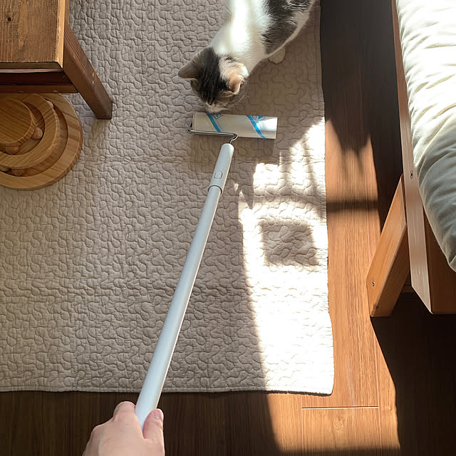 maaさんの実例写真
