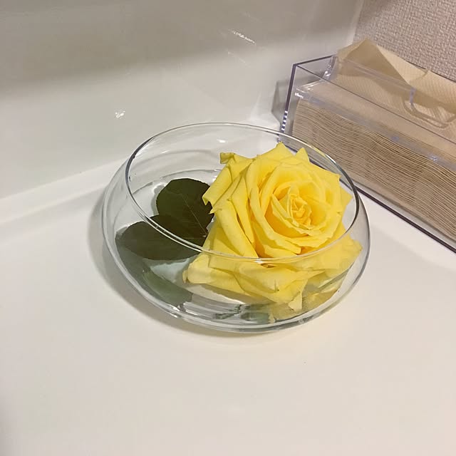 mocoさんの実例写真