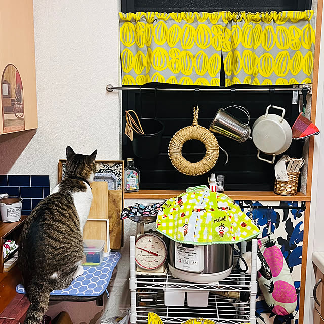 jijiさんの部屋