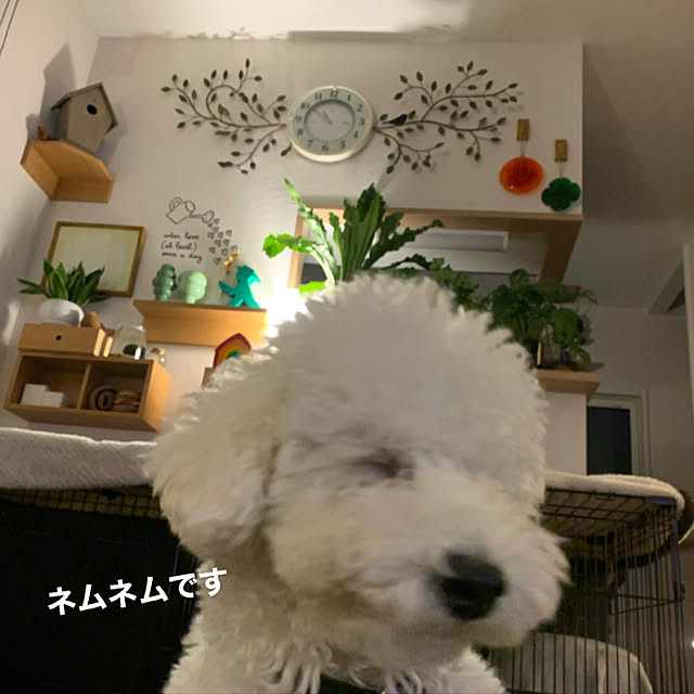 BUNさんの実例写真