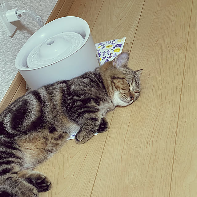 chiiさんの実例写真