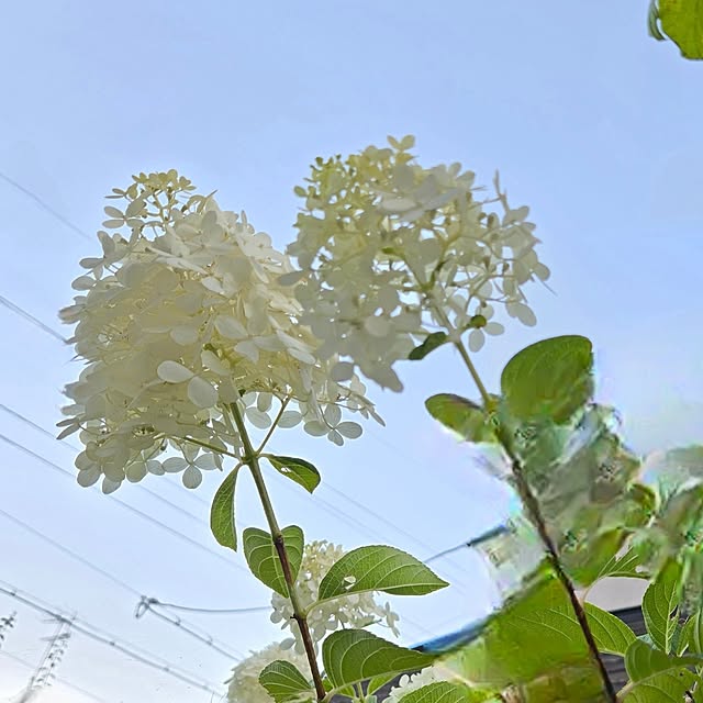 min_nimさんの実例写真