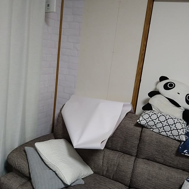 ameamekaasanさんの実例写真