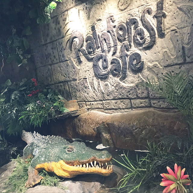 ohanaさんの実例写真