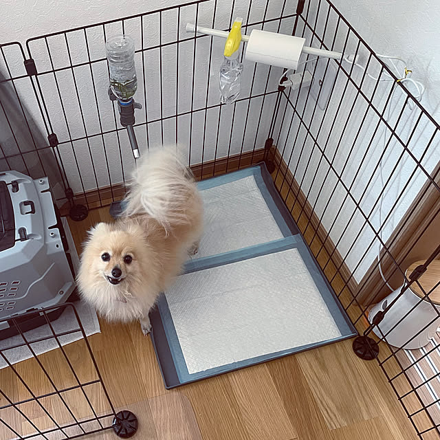 akさんの実例写真