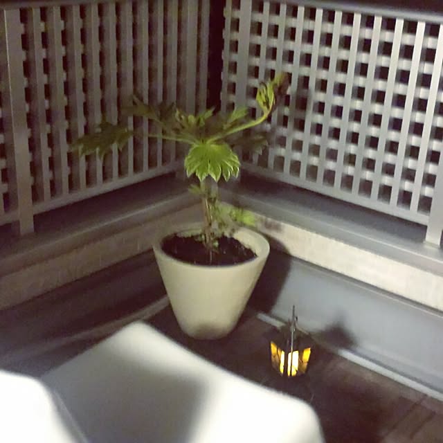 tomo0216さんの実例写真