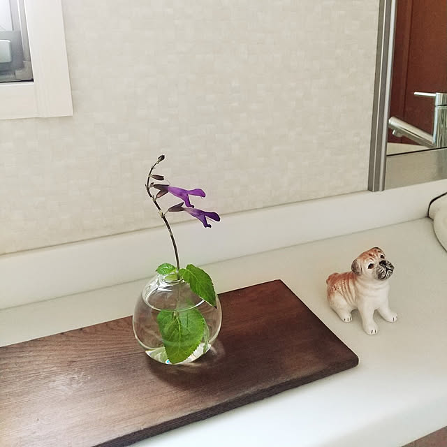 iku-yoneさんの実例写真