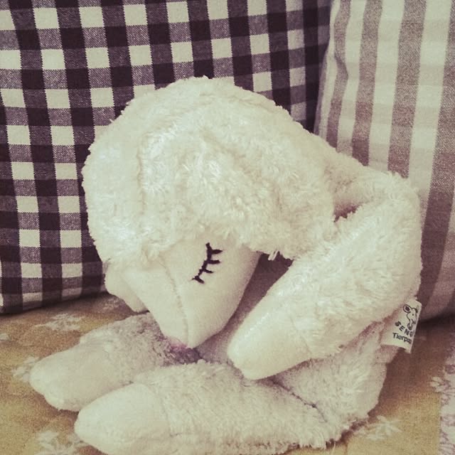 nonさんの実例写真