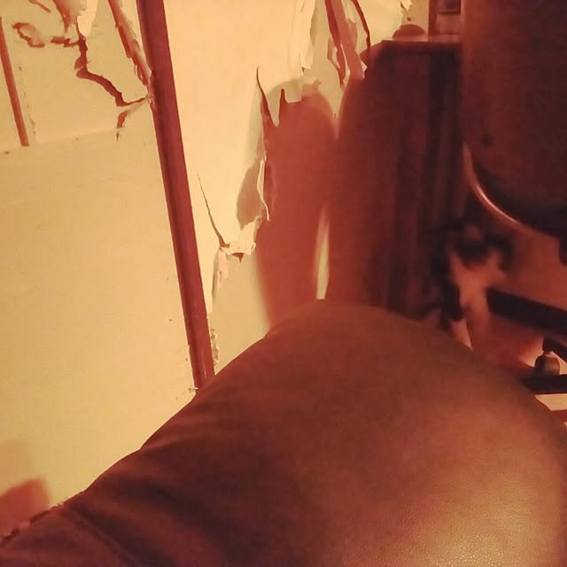 catloveさんの部屋
