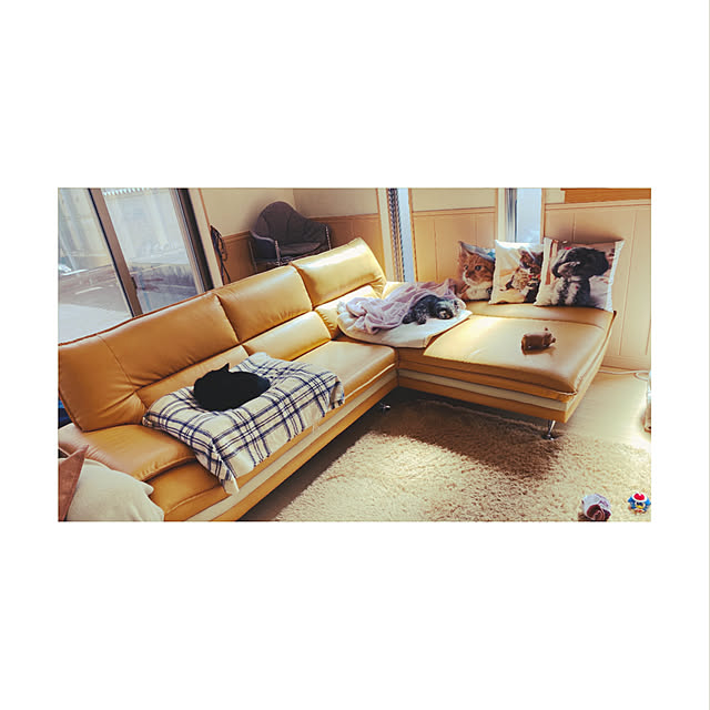 mako1210さんの実例写真