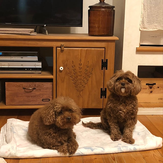 RUBYさんの実例写真