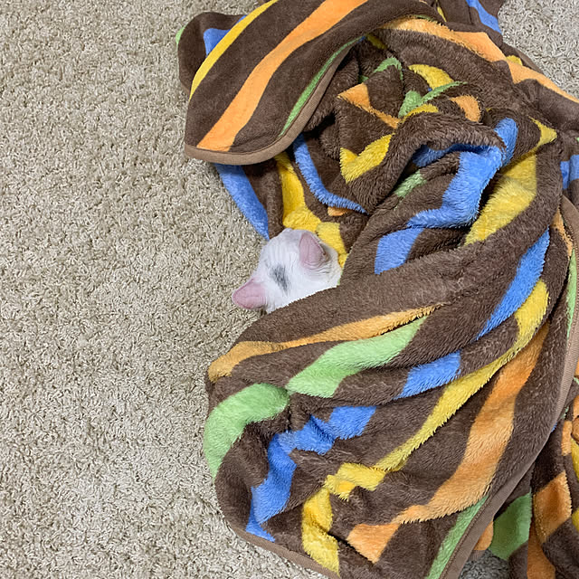 keiさんの実例写真