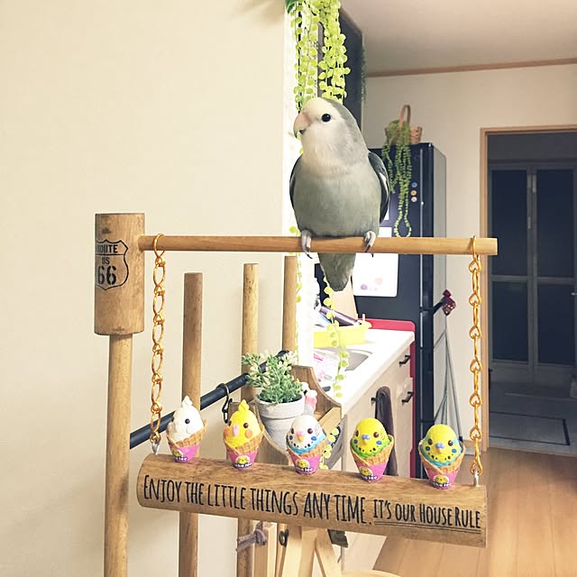 kaotanさんの実例写真