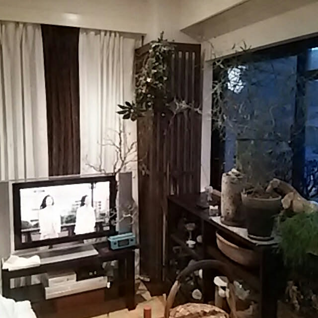 spinetailさんの実例写真