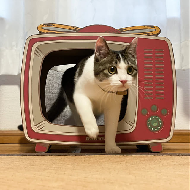 Akiさんの実例写真
