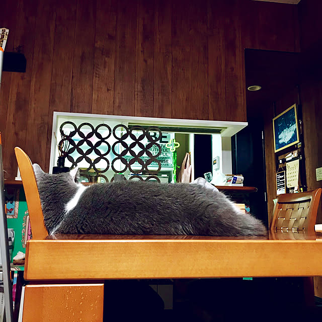 noikoさんの実例写真