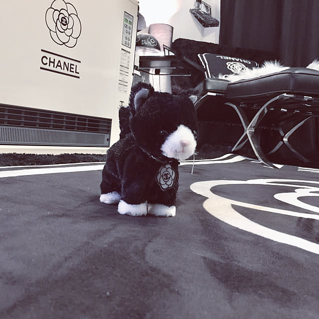 akiさんの実例写真