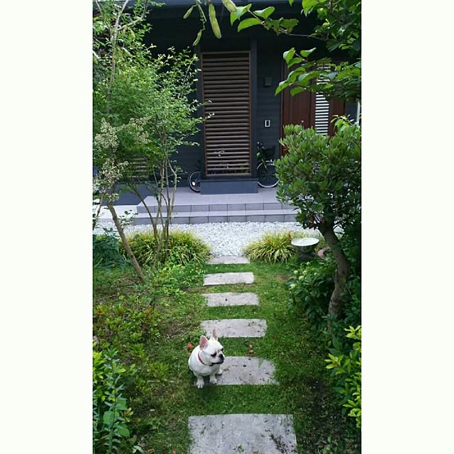 koyuki1115さんの実例写真