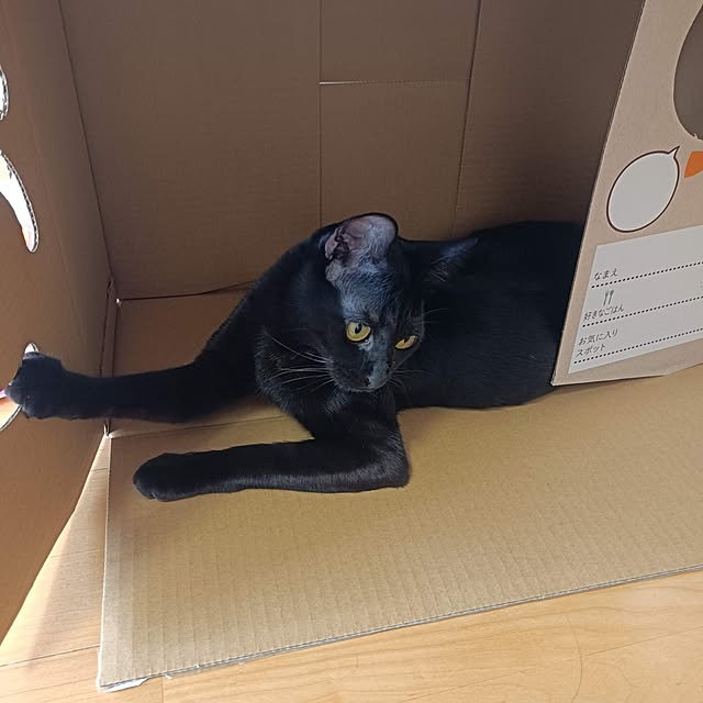 anayoikoさんの部屋