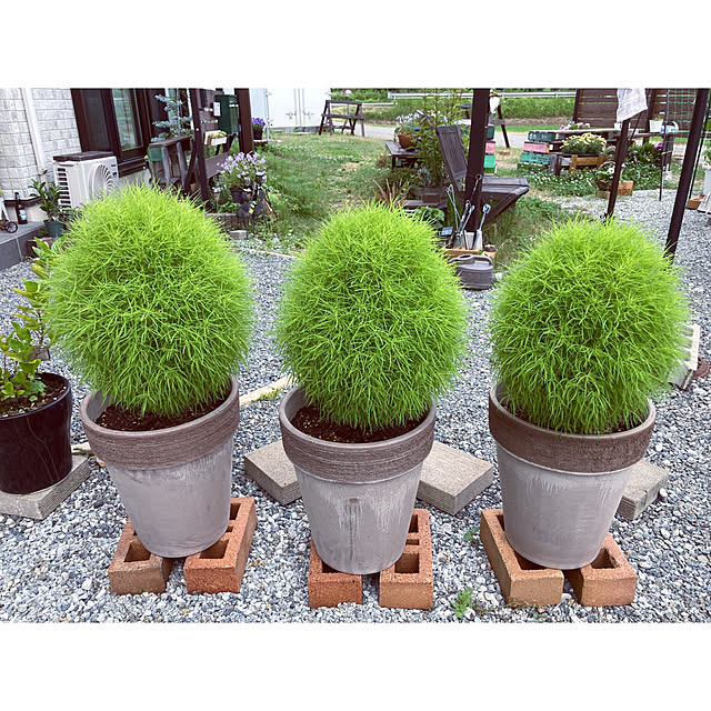 MAGUさんの実例写真