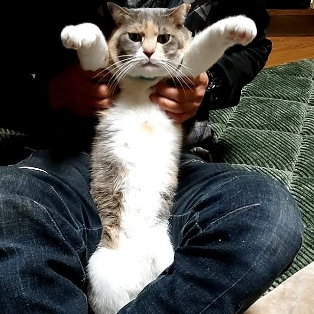fukuさんの部屋