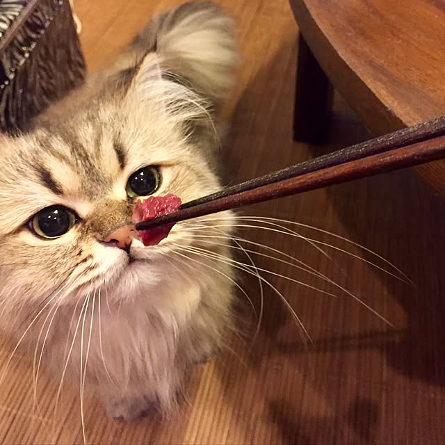 butachanさんの実例写真