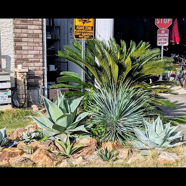 ot-gardenさんの実例写真