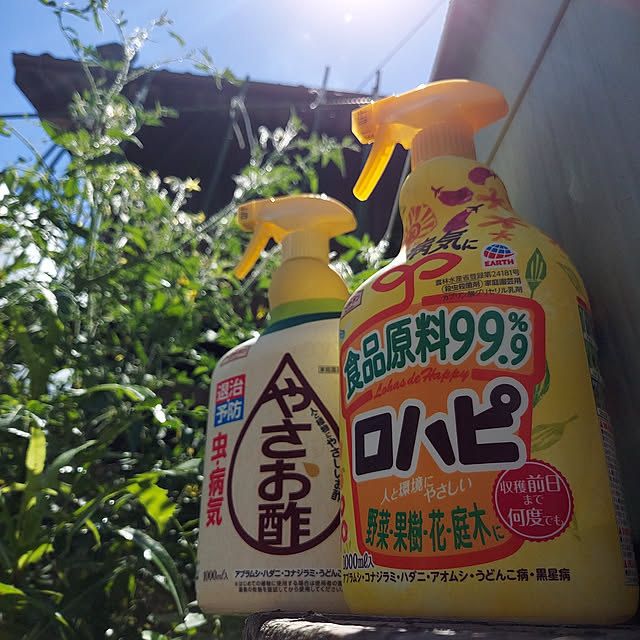 ciiiさんの実例写真