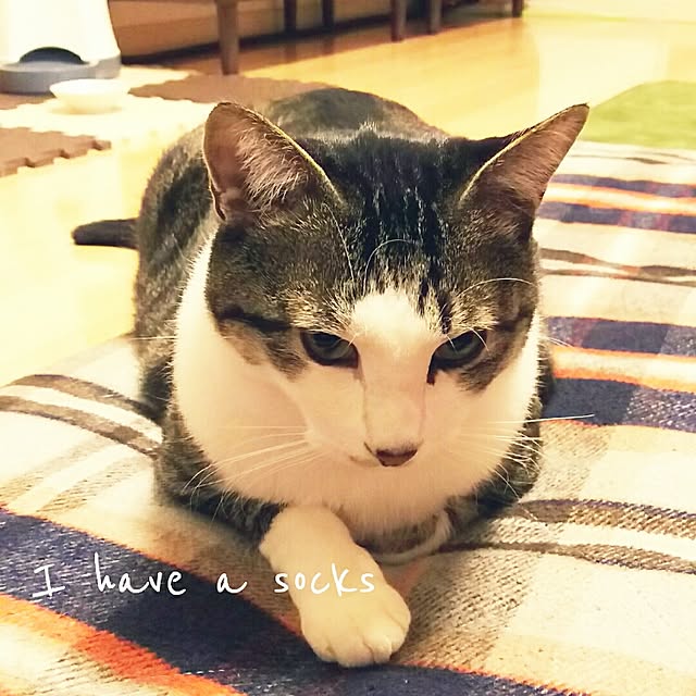 millsukeさんの実例写真