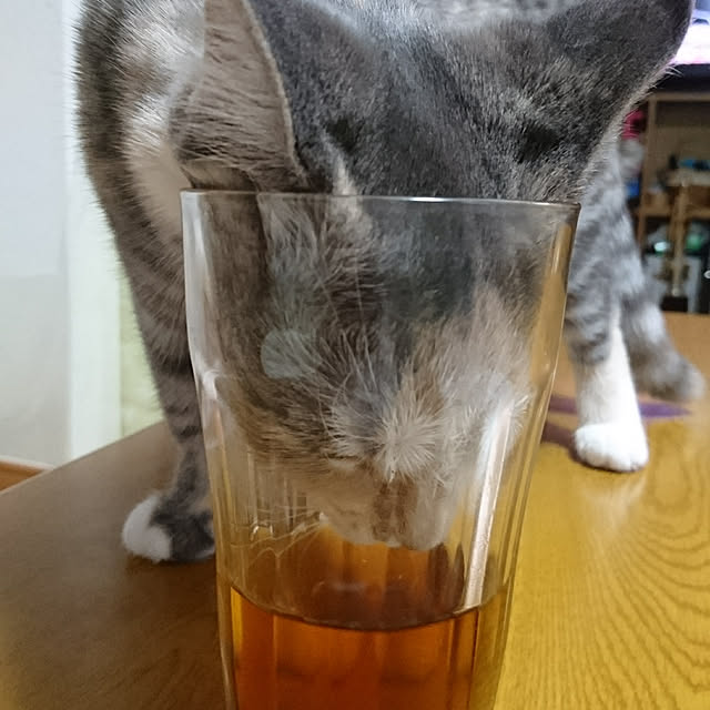 shinobuさんの実例写真