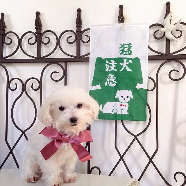 cheeさんの実例写真